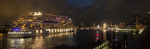 Kreuzfahrtschiff in Hamburg bei Nacht